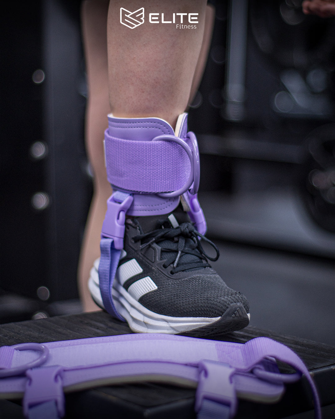 Grilletes de cuero lavanda ELITE