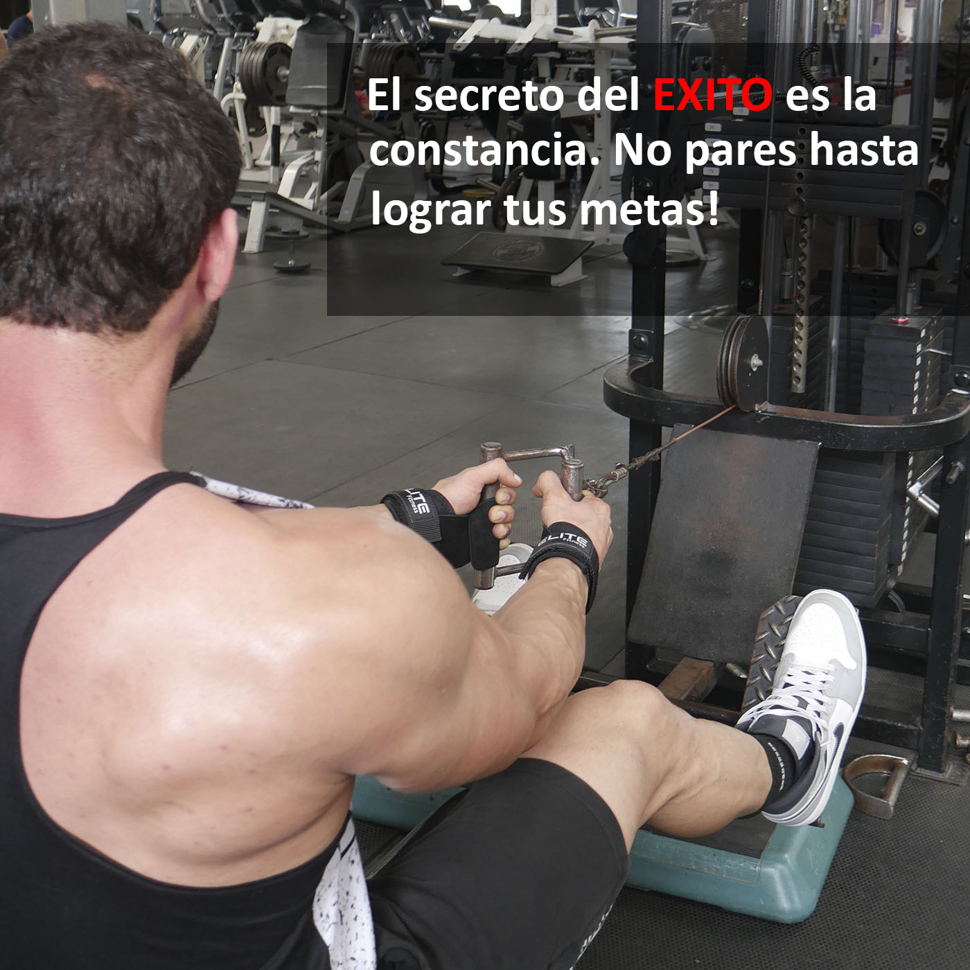 Calleras de Cuero Negro ELITE