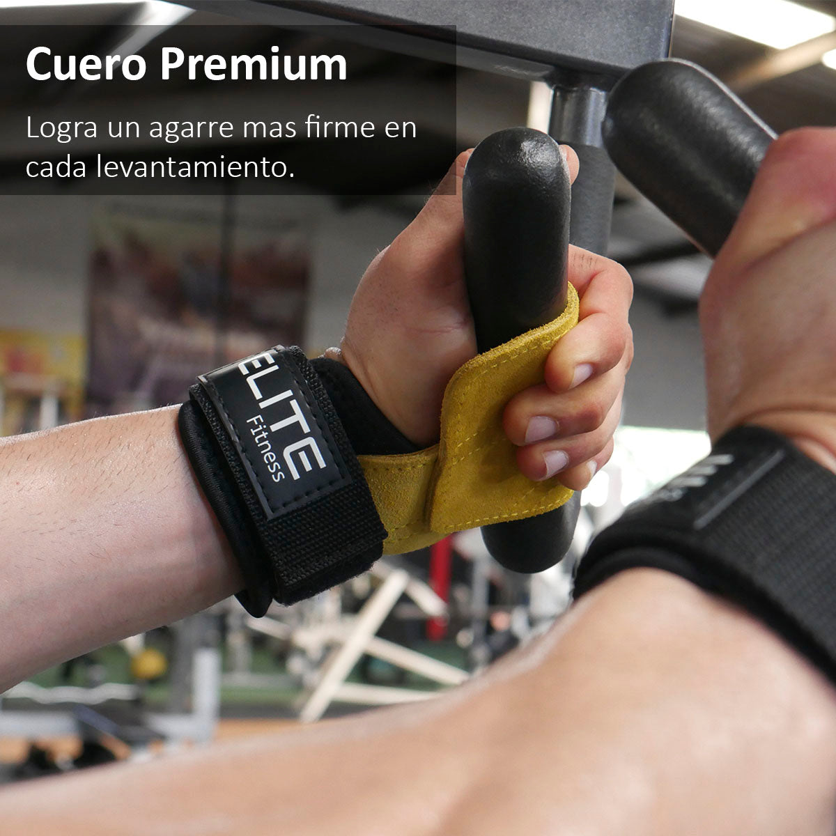 Calleras de cuero ELITE